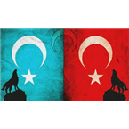 BozkurtFm
