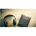 (CONTINUOUS BIBLE READING BY HENDRICK VAN DYKE)