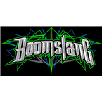 Boomslang radio