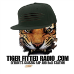 Tiger Fitted Radio