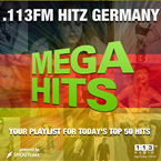 .113FM Hitz Germany