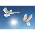 Eglise de Dieu des Saints