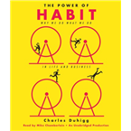 The Power of Habit: Why We Do What We Do in Life and Business