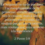 TKLG-TROPIKAL-LOUANGE