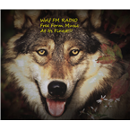WOLF FM RADIO