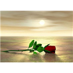 AMOR Y AMISTAD