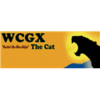 The Cat