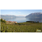 radio-lavaux
