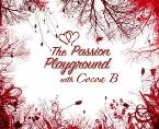 The Passion Playground