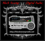 Black Swamp Digital Radio