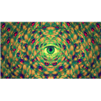 Stoner Radio NYC