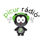 Picur Radio