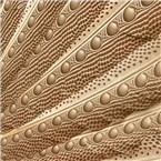 Studio Mönchengladbach