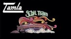 Tamla Soul Train
