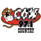 Cow 97
