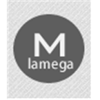 la Mega Hechicera