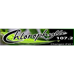 Chlorophylle FM