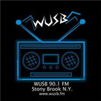 WUSB