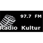 Radio Kultur