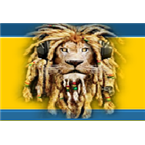 Lions - Radio