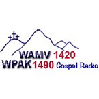 WAMV