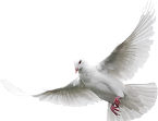 Peace FM 107.7
