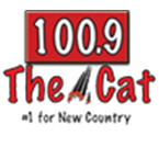 The Cat