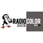 Radio Color Orastie
