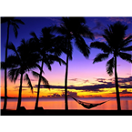 Caribbeanflex Radio