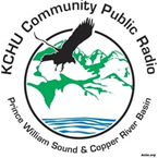 Terminal Radio