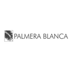 Palmera Blanca