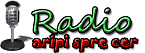 Radio Crestin Aripi Spre Cer Instrumental