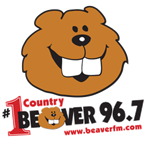 The Beaver
