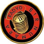 radyobirnumara