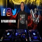 Dj Pajaro Herrera Radio