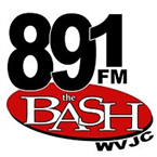 89.1 The Bash