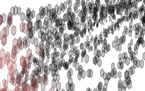 AMS-Cluster