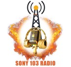 Sony 103