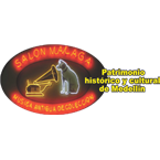 Salonmalaga