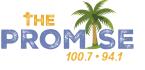 The Promise