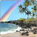 Hawaiian Rainbow