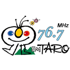 FM TARO