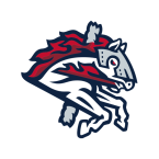 Binghamton Rumble Ponies Baseball Network