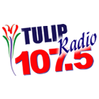Tulip Radio
