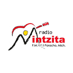 Radio Mintzita