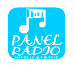 PANEL RADIO