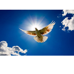 Radio Pentecostes Cristo Viene