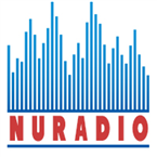 NuRadio Station