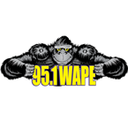 95.1 WAPE