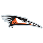 Delmarva Shorebirds Baseball Network